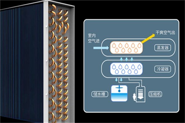 定位：除濕機(jī)廠家開(kāi)年投資需避雷 市場(chǎng)弱勢(shì)變強(qiáng)勢(shì)