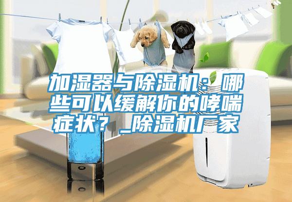 加濕器與除濕機(jī)：哪些可以緩解你的哮喘癥狀？_除濕機(jī)廠家