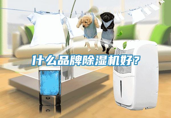 什么品牌除濕機(jī)好？