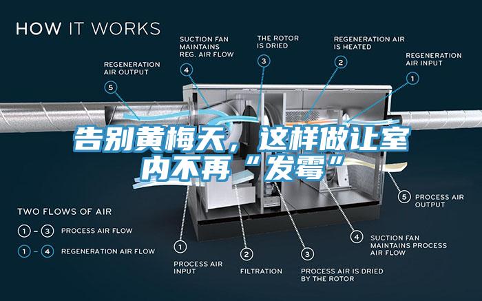 告別黃梅天，這樣做讓室內(nèi)不再“發(fā)霉”