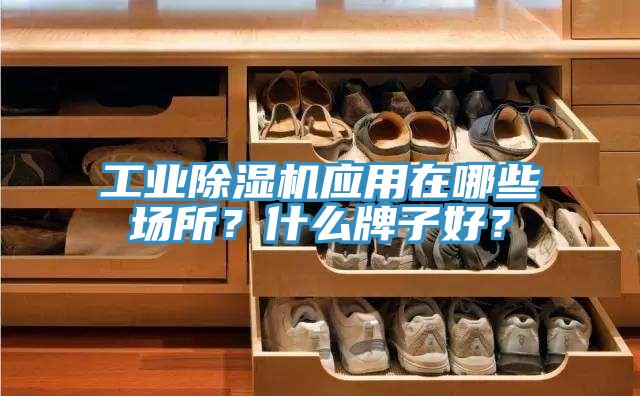 工業(yè)除濕機應用在哪些場所？什么牌子好？