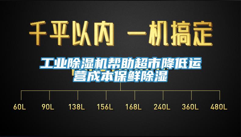 工業(yè)除濕機(jī)幫助超市降低運(yùn)營成本保鮮除濕