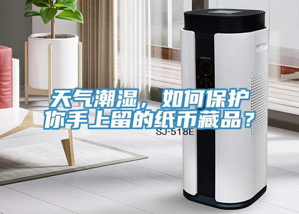 天氣潮濕，如何保護你手上留的紙幣藏品？