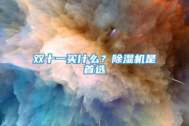 雙十一買什么？除濕機是首選