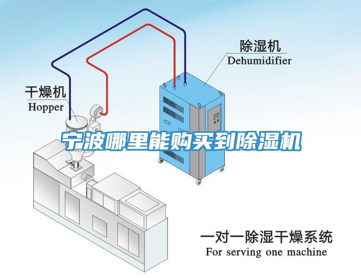 寧波哪里能購(gòu)買(mǎi)到除濕機(jī)