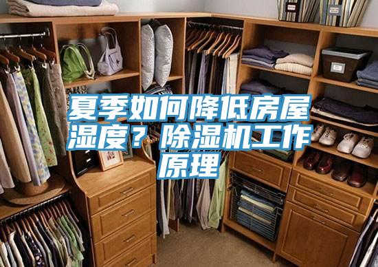 夏季如何降低房屋濕度？除濕機工作原理