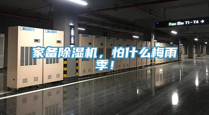 家備除濕機(jī)，怕什么梅雨季！