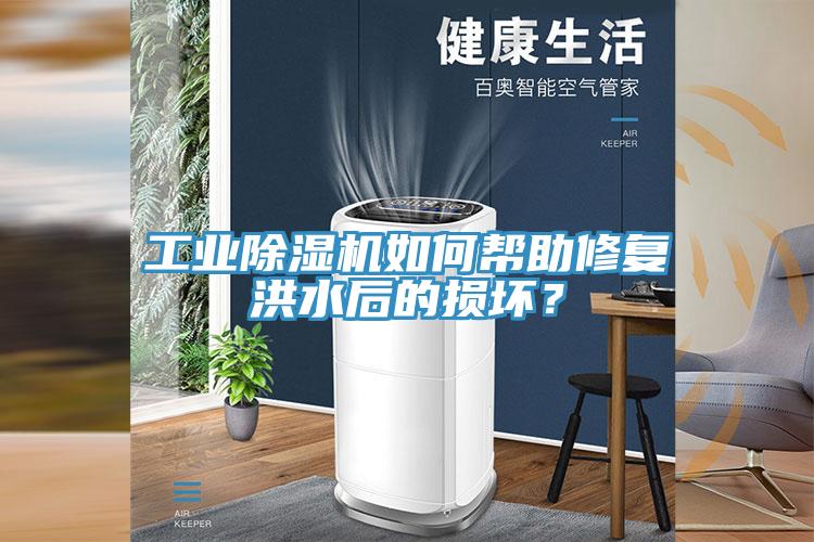 工業(yè)除濕機(jī)如何幫助修復(fù)洪水后的損壞？