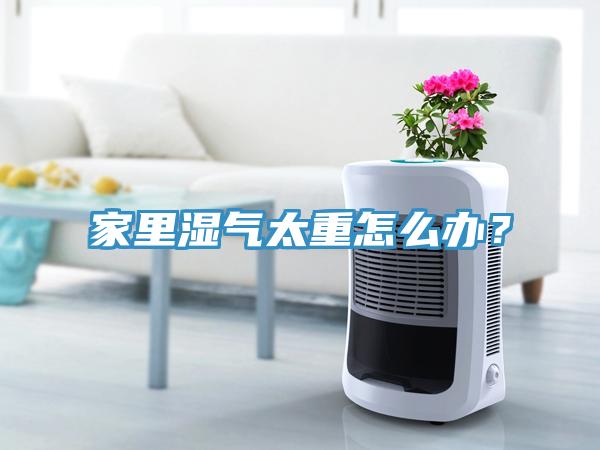 家里濕氣太重怎么辦？