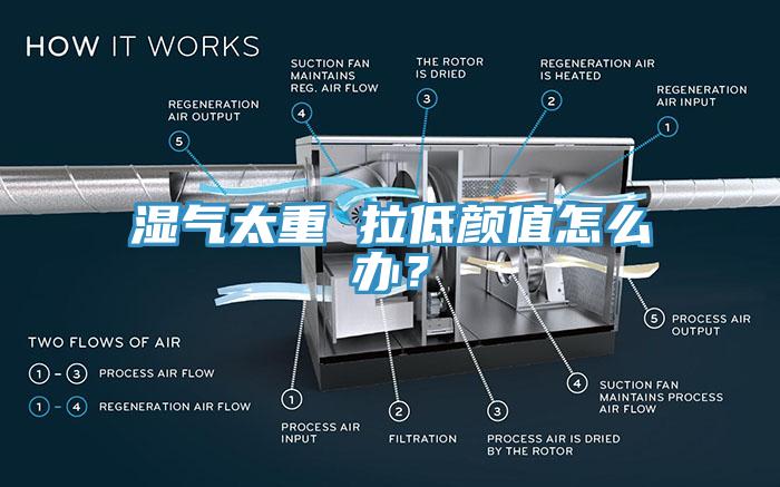 濕氣太重 拉低顏值怎么辦？