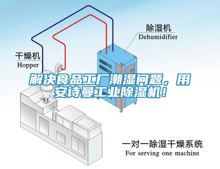 解決食品工廠潮濕問題，用安詩曼工業(yè)除濕機(jī)！