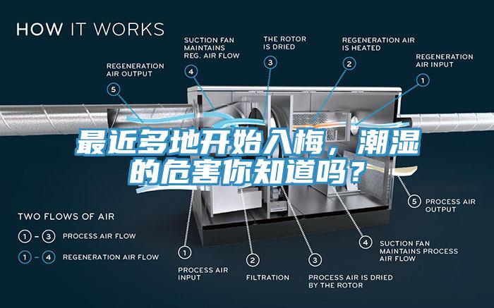 最近多地開始入梅，潮濕的危害你知道嗎？