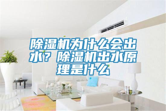 除濕機為什么會出水？除濕機出水原理是什么