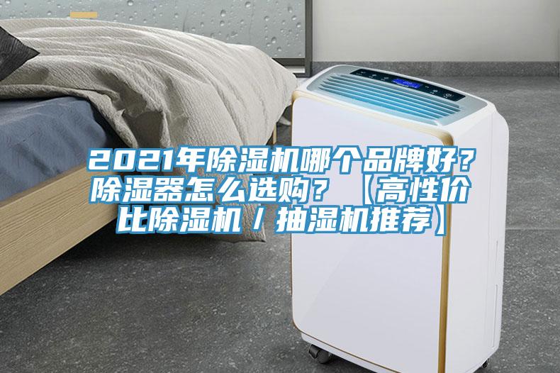 2021年除濕機哪個品牌好？除濕器怎么選購？【高性價比除濕機／抽濕機推薦】