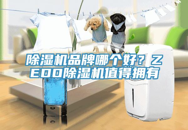 除濕機(jī)品牌哪個好？ZEDO除濕機(jī)值得擁有