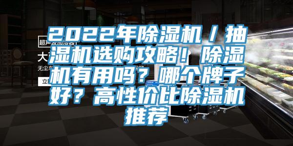 2022年除濕機／抽濕機選購攻略！除濕機有用嗎？哪個牌子好？高性價比除濕機推薦