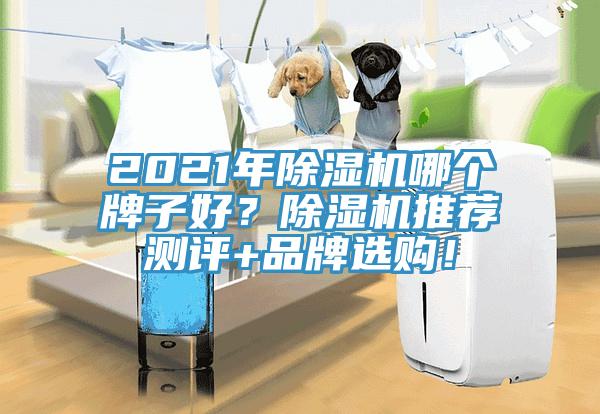 2021年除濕機哪個牌子好？除濕機推薦測評+品牌選購！