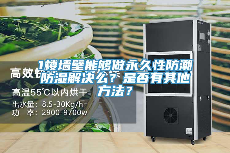 1樓墻壁能夠做永久性防潮防濕解決么？是否有其他方法？