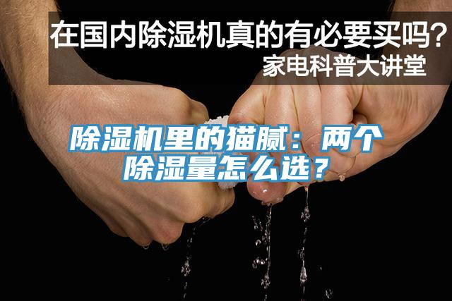 除濕機里的貓膩：兩個除濕量怎么選？