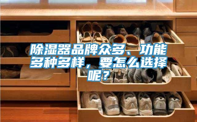 除濕器品牌眾多、功能多種多樣，要怎么選擇呢？