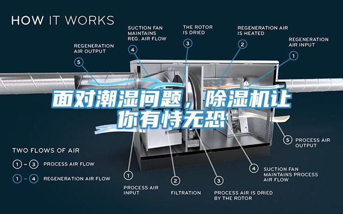 面對潮濕問題，除濕機讓你有恃無恐