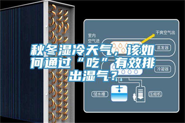 秋冬濕冷天氣，該如何通過(guò)“吃”有效排出濕氣？
