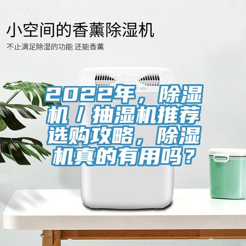 2022年，除濕機／抽濕機推薦選購攻略，除濕機真的有用嗎？