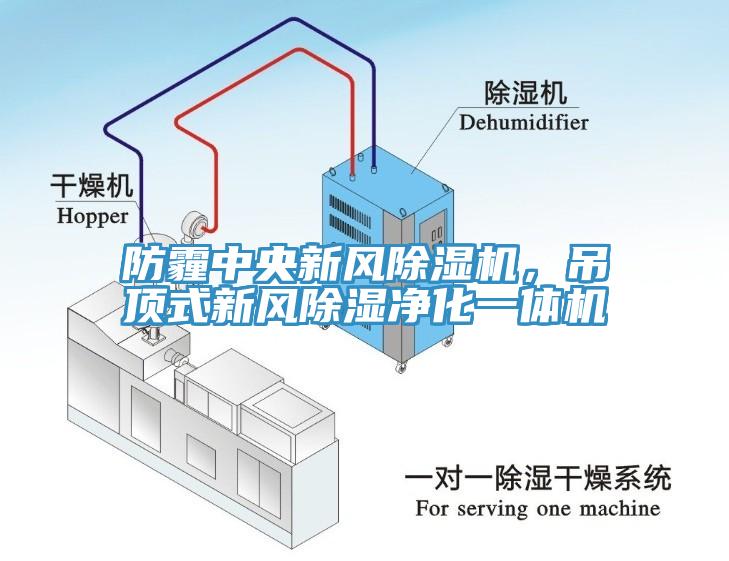 防霾中央新風(fēng)除濕機(jī)，吊頂式新風(fēng)除濕凈化一體機(jī)