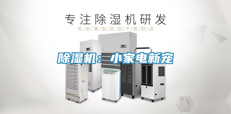 除濕機(jī)：小家電新寵