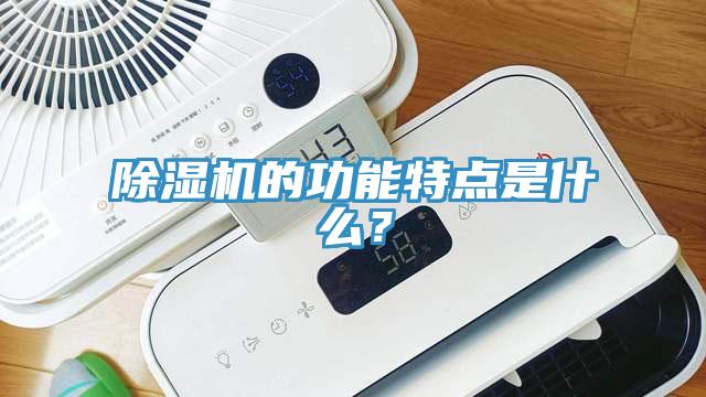 除濕機(jī)的功能特點(diǎn)是什么？