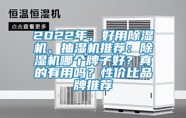 2022年，好用除濕機、抽濕機推薦：除濕機哪個牌子好？真的有用嗎？性價比品牌推薦