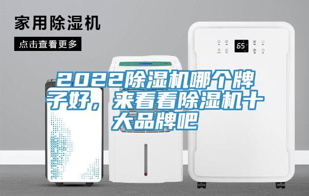 2022除濕機哪個牌子好，來看看除濕機十大品牌吧