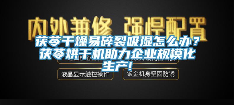 茯苓干燥易碎裂吸濕怎么辦？茯苓烘干機助力企業(yè)規(guī)?；a(chǎn)!