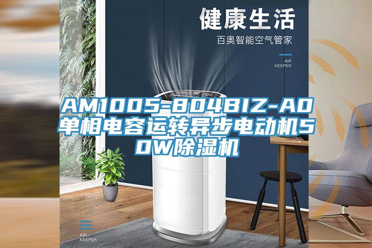 AM1005-804BIZ-A0單相電容運(yùn)轉(zhuǎn)異步電動(dòng)機(jī)50W除濕機(jī)