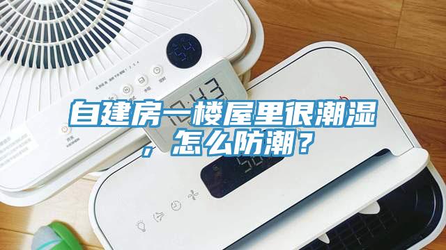 自建房一樓屋里很潮濕，怎么防潮？