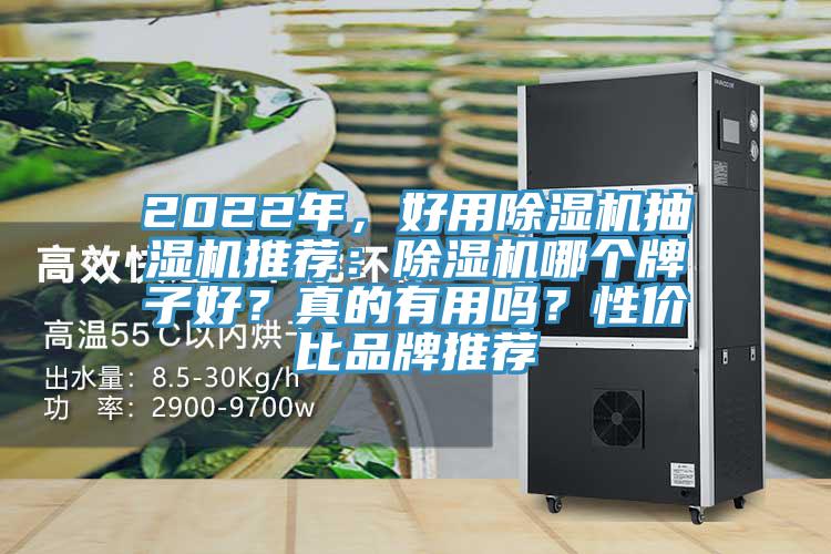 2022年，好用除濕機抽濕機推薦：除濕機哪個牌子好？真的有用嗎？性價比品牌推薦