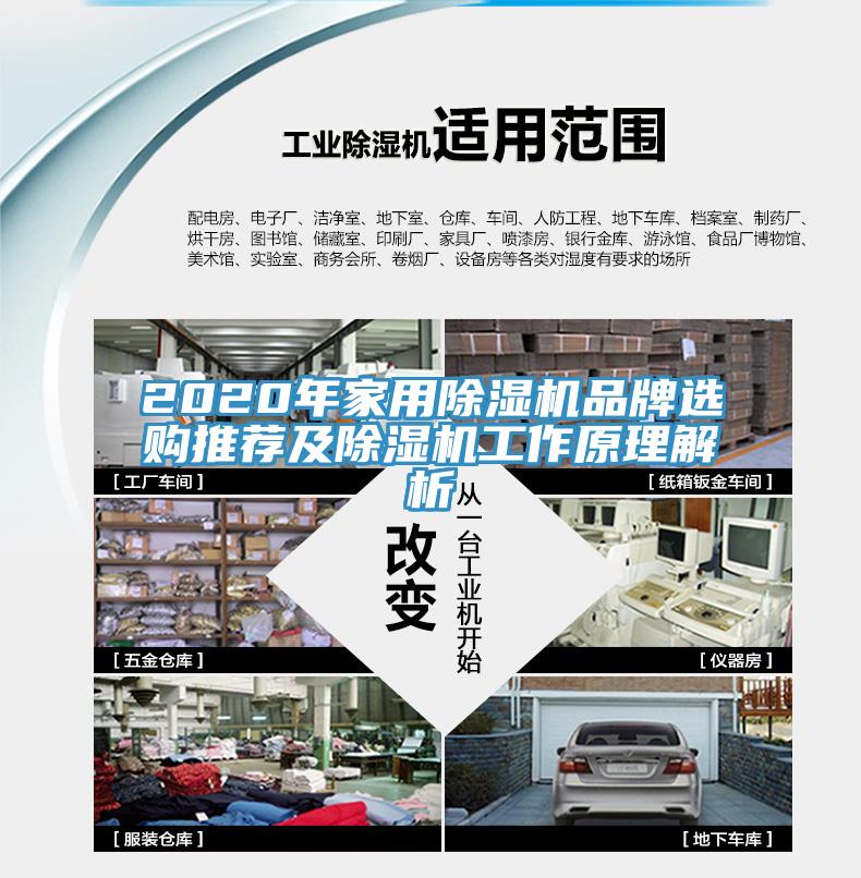 2020年家用除濕機品牌選購?fù)扑]及除濕機工作原理解析