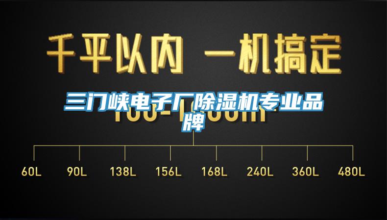 三門峽電子廠除濕機專業(yè)品牌