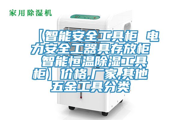 【智能安全工具柜 電力安全工器具存放柜 智能恒溫除濕工具柜】?jī)r(jià)格,廠家,其他五金工具分類