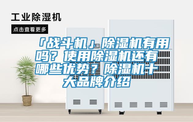 「戰(zhàn)斗機」除濕機有用嗎？使用除濕機還有哪些優(yōu)勢？除濕機十大品牌介紹