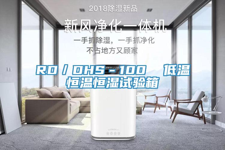 RD／DHS－100  低溫恒溫恒濕試驗箱