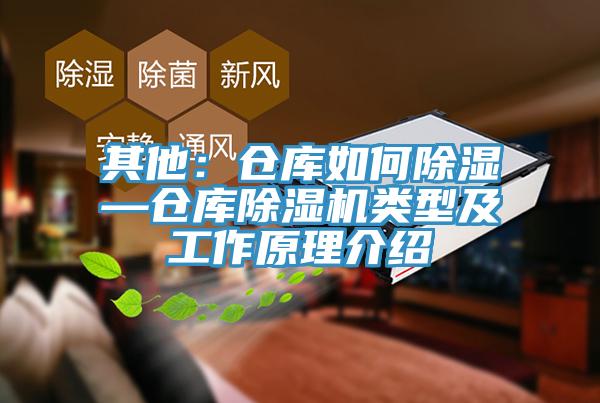 其他：倉庫如何除濕—倉庫除濕機類型及工作原理介紹