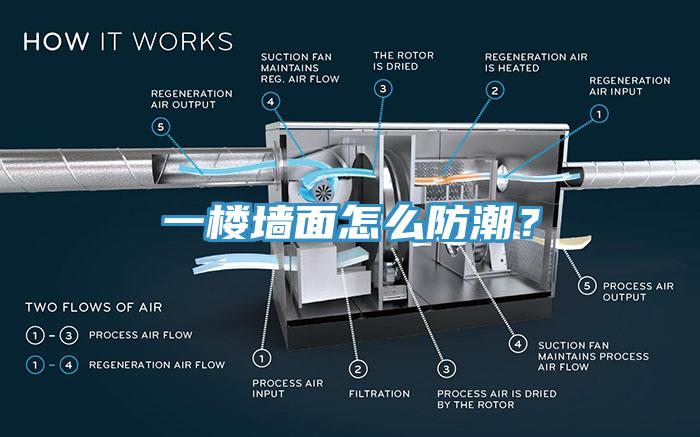 一樓墻面怎么防潮？