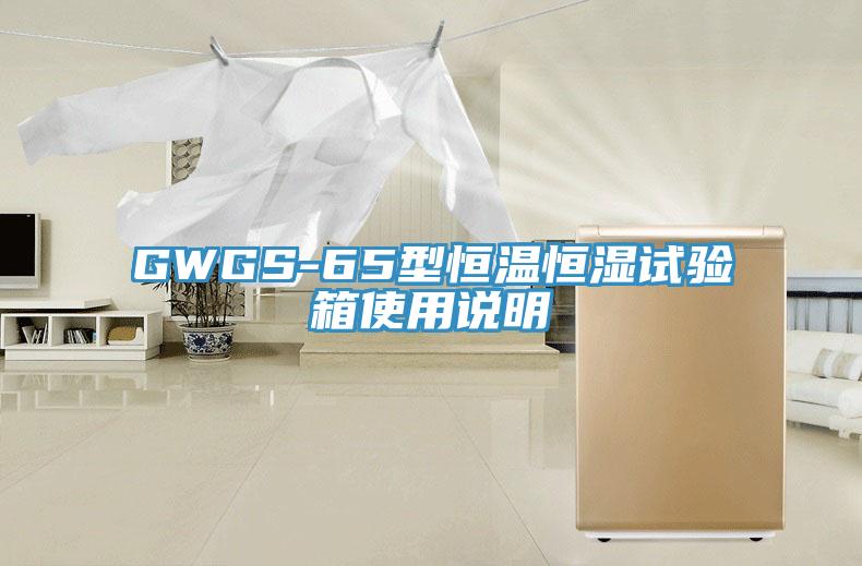 GWGS-65型恒溫恒濕試驗(yàn)箱使用說(shuō)明