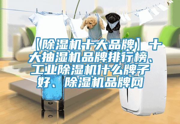 【除濕機(jī)十大品牌】十大抽濕機(jī)品牌排行榜、工業(yè)除濕機(jī)什么牌子好、除濕機(jī)品牌網(wǎng)