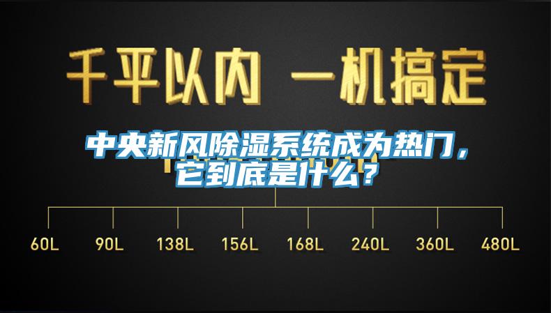 中央新風(fēng)除濕系統(tǒng)成為熱門，它到底是什么？