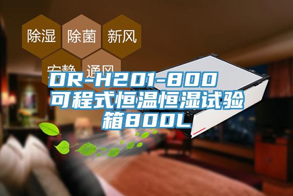 DR-H201-800  可程式恒溫恒濕試驗(yàn)箱800L