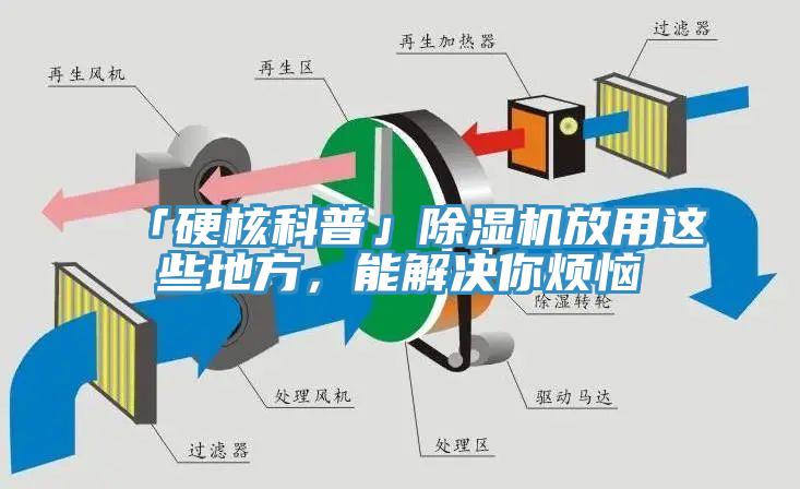 「硬核科普」除濕機放用這些地方，能解決你煩惱