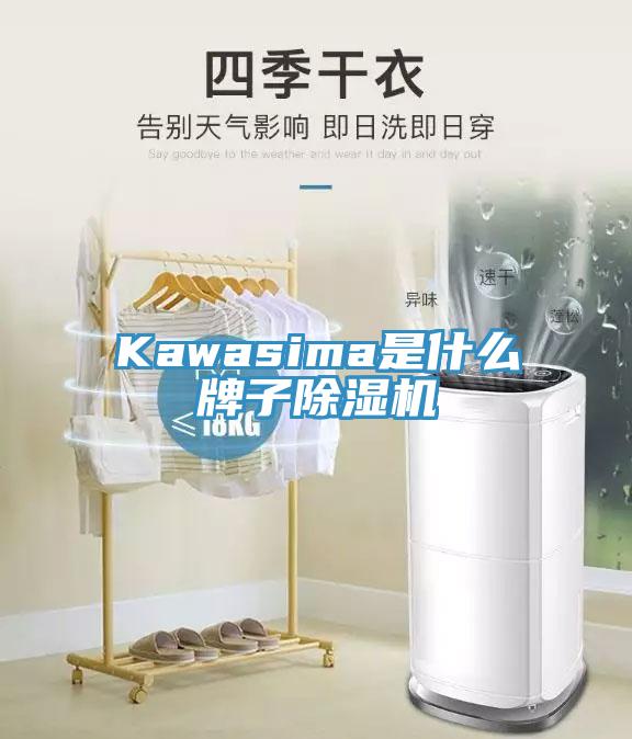 Kawasima是什么牌子除濕機