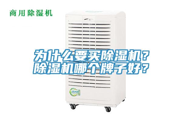 為什么要買除濕機(jī)？除濕機(jī)哪個(gè)牌子好？